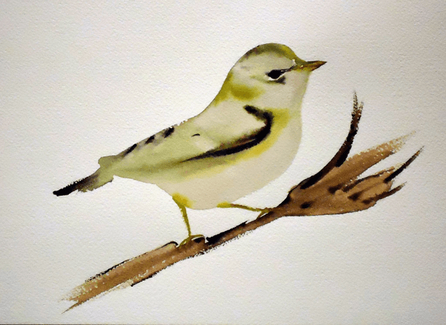 green finch