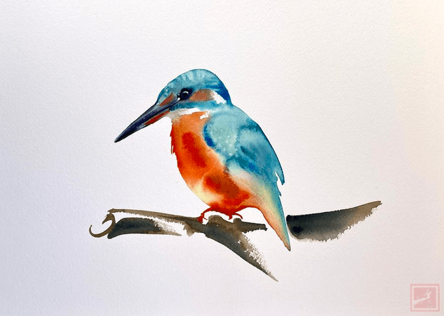 king fisher #3
