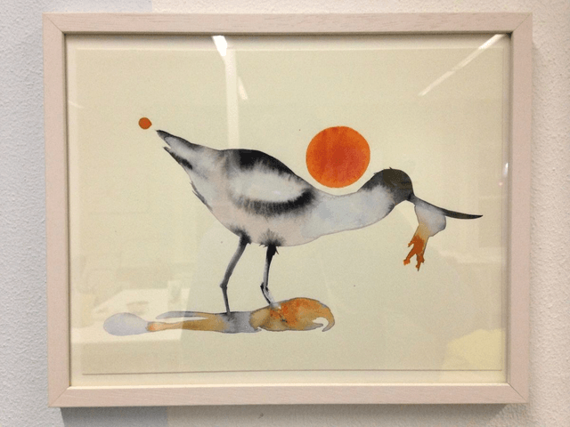 avocet with jellyfish
