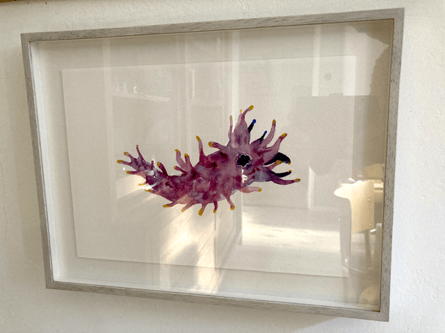 sea slug