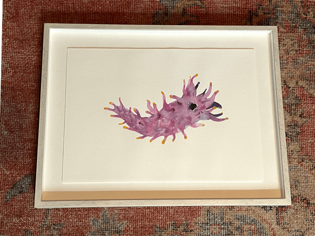 sea slug