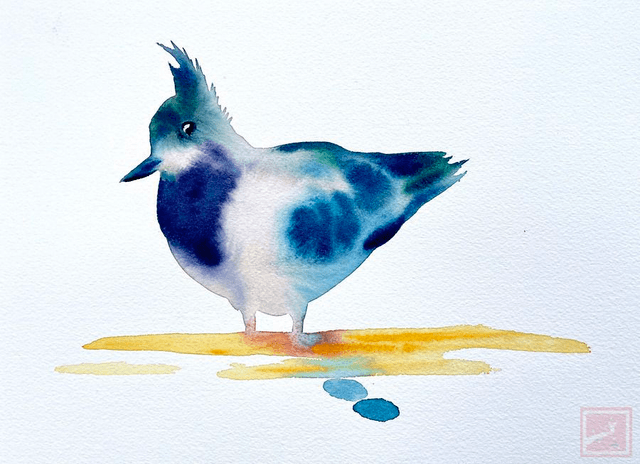 lapwing #5