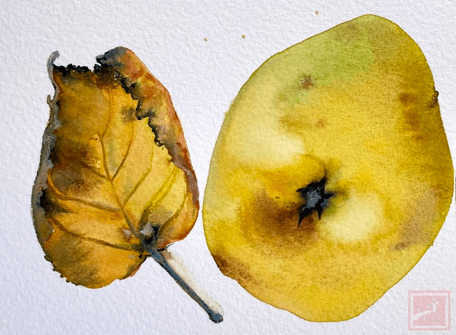 quinces