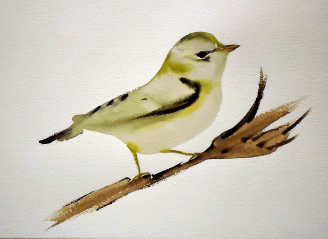 green finch