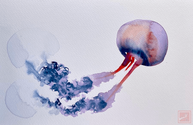 jelly fish #3