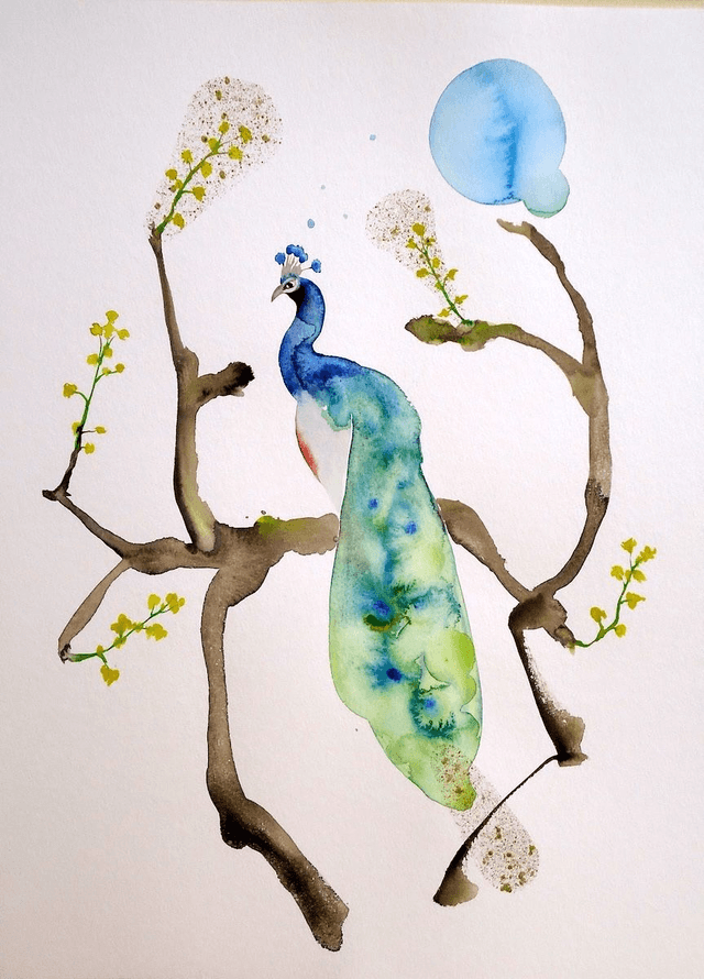 peacock