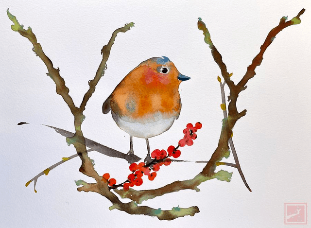 robin