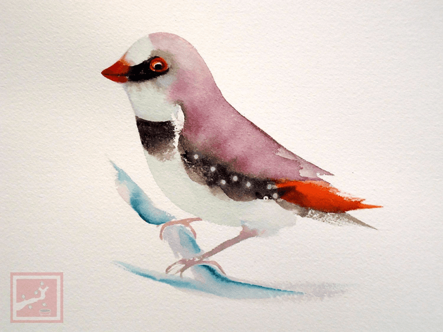 beautiful finch