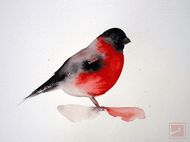 bullfinch